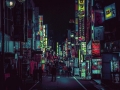 i-got-lost-in-the-beauty-of-tokyo-at-night-4__880