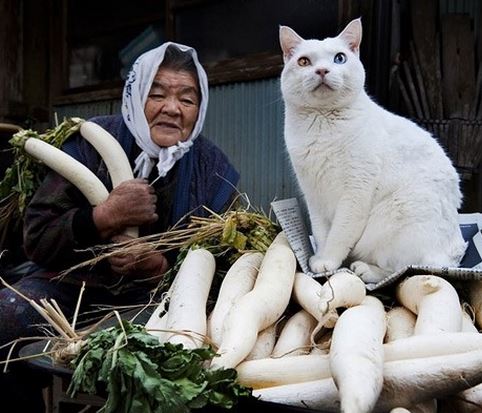 Misao and Fukumaru